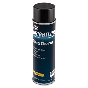 GLASS CLEANER - 19OZ